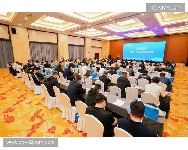 K8凯发VIP充值提现流程简便快速确保玩家资金安全与便利