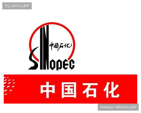 凯发K8国际站安全保障措施详解：保障玩家资金安全与个人信息隐私的最佳实践
